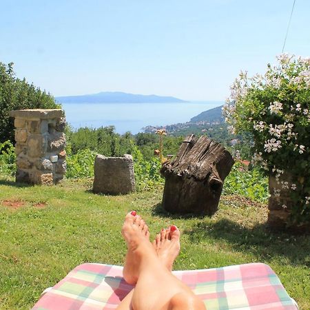 Sea View Apartment With Garden Near Opatija Veprinac Esterno foto