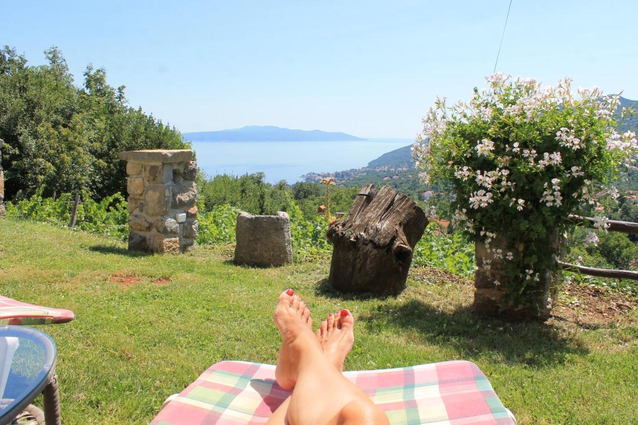 Sea View Apartment With Garden Near Opatija Veprinac Esterno foto